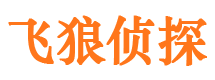 苍山市侦探调查公司